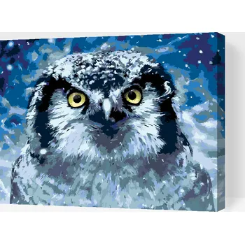 Malování podle čísel - Sova Velikost: 30x40cm, Rámování: Pouze srolované plátno