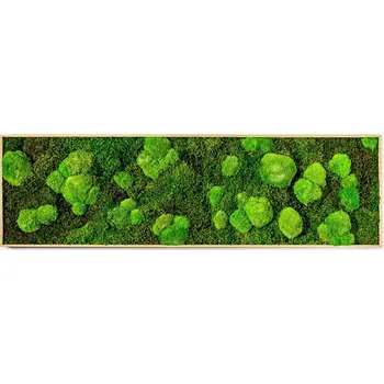 Obraz Gardners Mechový obraz 140 x 40 cm plochý/kopečkový mech zelený
