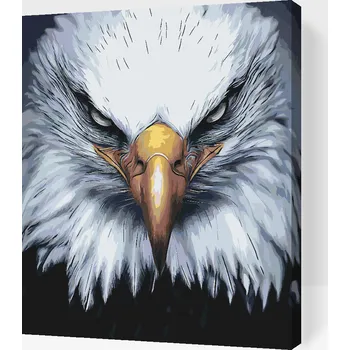 Malování podle čísel - Hlava orla Velikost: 30x40cm, Rámování: Pouze srolované plátno