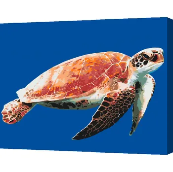 Malování podle čísel - Mořská želva Velikost: 30x40cm, Rámování: Pouze srolované plátno