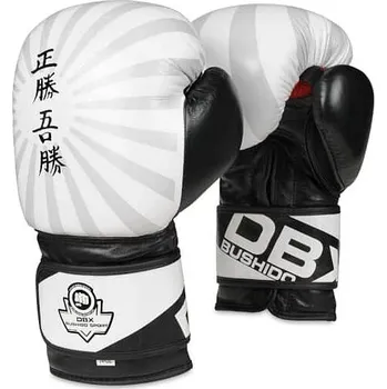 Chránič rukou Boxerské rukavice DBX BUSHIDO B-2v8 14oz