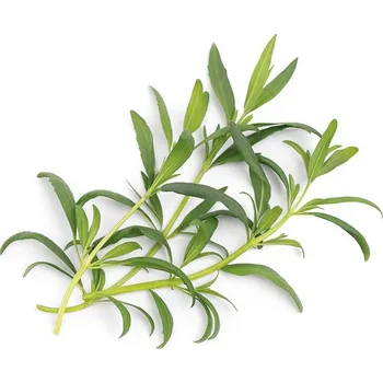 Pěstitelství Veritable, Kapsle se semínky Lingot netradiční bylinky yzop bio - Formadore