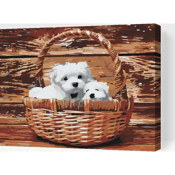 Malování podle čísel - Štěňata v košíku Velikost: 30x40cm, Rámování: Pouze srolované plátno