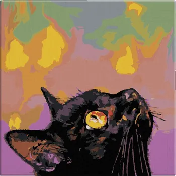 Malování podle čísel - Kočičí pohled do nebe - 40x40 cm, bez dřevěného rámu - CZ výroba