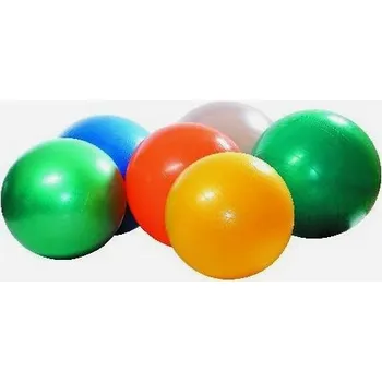 Gymy ABS Míč 55cm s hustilkou