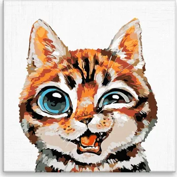 Malování podle čísel - Mrk - 40x40 cm, bez dřevěného rámu - CZ výroba