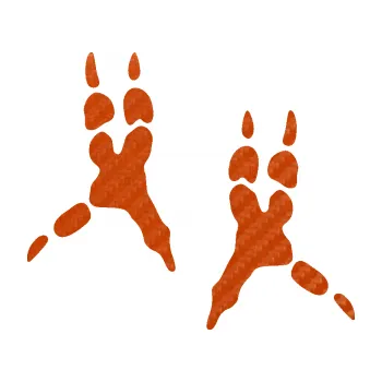 Samolepicí dekorace na vozidlo Papoušek 008 stopy levá (54 - 3D karbon oranžový) SAMOLEPKA NA AUTO, NÁLEPKA, FÓLIE, POLEP, TUNING, VLASTNÍ TEXT, TISK, AUTOSAMOLEPKY.cz, POLEPY, OBRÁZEK, LOGO, 3D STICKERS