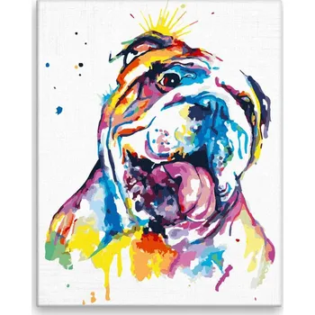 Malování podle čísel - Buldok v barvách - 40x50 cm, bez dřevěného rámu - CZ výroba