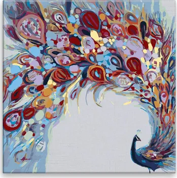Malování podle čísel - Barevný páv - 40x40 cm, bez dřevěného rámu - CZ výroba