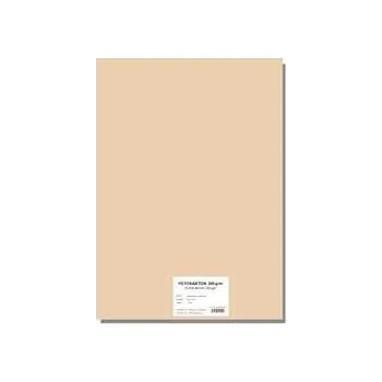 Kancelářský papír Barevný karton EXTRA 300g A4 meruňkový [10 listů],rychlé dodání