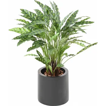 umělá květina VertEspace Calathea 90 cm