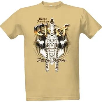 Tričko s potiskem Náčelník_mwb pánské