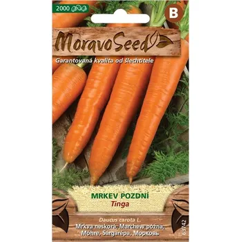 Semeno MoravoSeed Tinga mrkev pozdní 2000 ks