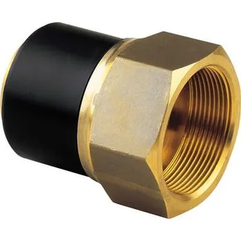Fitinka +GF+ Přechodka PE/mosaz, vnitřní závit Redukce: 40 x 5/4”