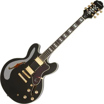 Epiphone Sheraton-II PRO Elektrická kytara Epiphone Sheraton-II PRO