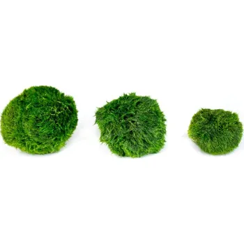 Gardners Set řasokoulí 3 ks