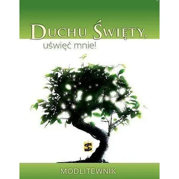 Duchu Święty uświęć mnie! Modlitewnik - Praca zbiorowa