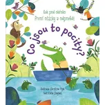 Co jsou to pocity? - Katie Daynes (2020)