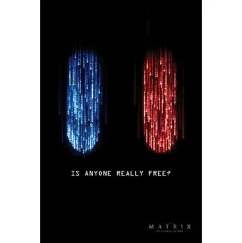 Plakát Plakát, Obraz - Matrix - Je někdo opravdu volný?