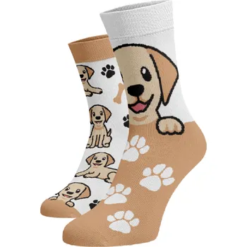 Dámské ponožky Veselé ponožky Retrívr Bílá Bavlna 42-44