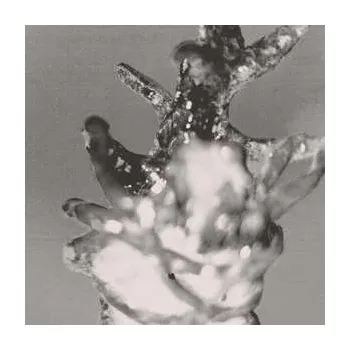 Zahraniční hudba LP The Lumes: Envy LTD | NUM 2017 Limited Numbered Edition Vinyl