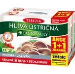 Terezia Company Hlíva ústřičná +…