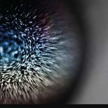 Zahraniční hudba LP Emptyset: Blossoms 2019