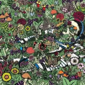 Zahraniční hudba 2LP Oozing Wound: Whatever Forever 2016