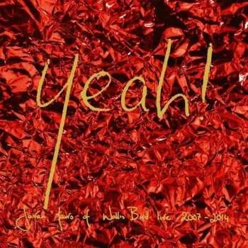 Zahraniční hudba 2LP Wallis Bird: Yeah! 2016 With Downloadcode And Signed Postcard Vinyl