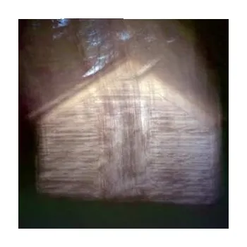 Zahraniční hudba LP Rick Rizzo: Double Star LTD 2011 Limited Edition Vinyl