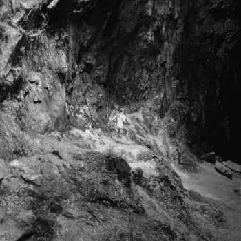 Zahraniční hudba CD Oberst: Paradise 2020