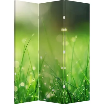 Paraván LuxusniObrazy.cz Paraván - Rosa na trávě