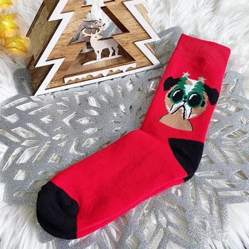 Pánské ponožky Aura.Via Pánské thermo vánoční ponožky SFV6881RP Velikost: 39 - 42