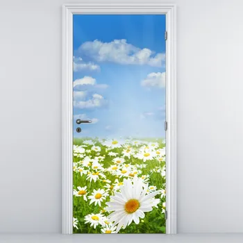 Fototapeta LuxusniObrazy.cz Fototapeta na dveře - Rozkvetlá louka s kopretinami