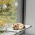 Pelíšek pro kočku Trixie 43209 odpočívadlo k připevnění na okno 50 x 30 cm šedé