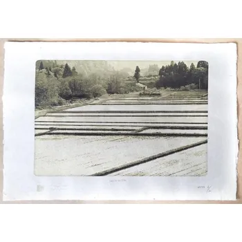 Umění Tisk V. Brunton - rýžová pole (A3)