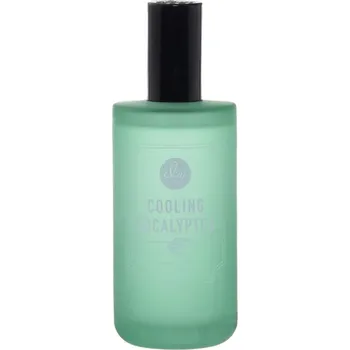 Osvěžovač vzduchu DW HOME Cooling Eucalyptus Prostorový parfém, 120 ml