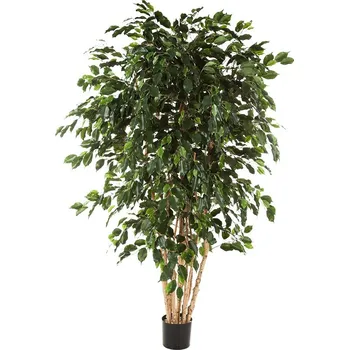 umělá květina Nieuwkoop europe Umělý fíkus exotika 240 cm