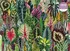 Puzzle Galison Džungle pokojových rostlin 1000 dílků