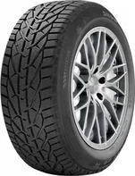 Riken Snow 205/50 R17 93 V XL