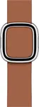 Apple Watch Saddle Modern Buckle 40 mm…