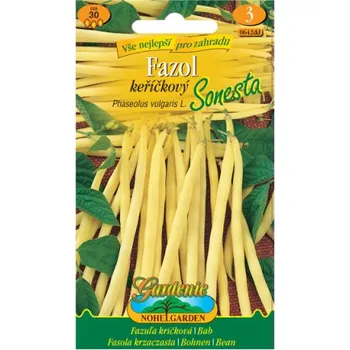 Semeno Fazol keříčkový SONESTA, žlutý