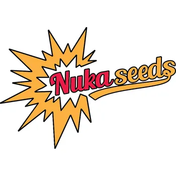 Semeno Nuka Seeds Megaton (Feminizovaná semena Megaton)