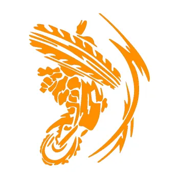 Samolepící dekorace SAMOLEPKA Motorka 010 pravá (06 - oranžová) NA AUTO, NÁLEPKA, FÓLIE, POLEP, TUNING, VLASTNÍ TEXT, TISK, AUTOSAMOLEPKY.cz, POLEPY, OBRÁZEK, LOGO, SAMOLEPKY