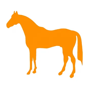 Samolepící dekorace Kůň 004 levá (06 - oranžová) SAMOLEPKA NA AUTO, NÁLEPKA, FÓLIE, POLEP, TUNING, VLASTNÍ TEXT, TISK, AUTOSAMOLEPKY.cz, POLEPY, OBRÁZEK, LOGO, 3D STICKERS