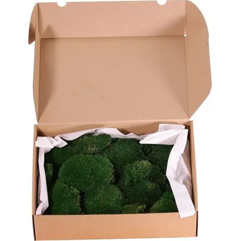 umělá květina Stabilizovaný mech bochánky 0,15m2, 800g