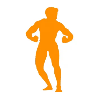 Polep vozidla Kulturista 011 pravá (06 - oranžová) SAMOLEPKA NA AUTO, NÁLEPKA, FÓLIE, POLEP, TUNING, VLASTNÍ TEXT, TISK, AUTOSAMOLEPKY.cz, POLEPY, OBRÁZEK, LOGO, 3D STICKERS