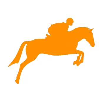 Samolepící dekorace Kůň 020 pravá skok s jezdcem (06 - oranžová) SAMOLEPKA NA AUTO, NÁLEPKA, FÓLIE, POLEP, TUNING, VLASTNÍ TEXT, TISK, AUTOSAMOLEPKY.cz, POLEPY, OBRÁZEK, LOGO, 3D STICKERS