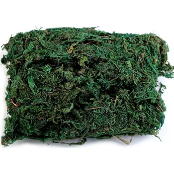 Stoklasa Dekorační mech 40 g zelený