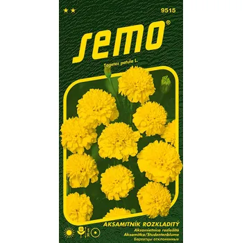 Semeno SEMO Aksamitník rozkladitý petit žlutý 1 g